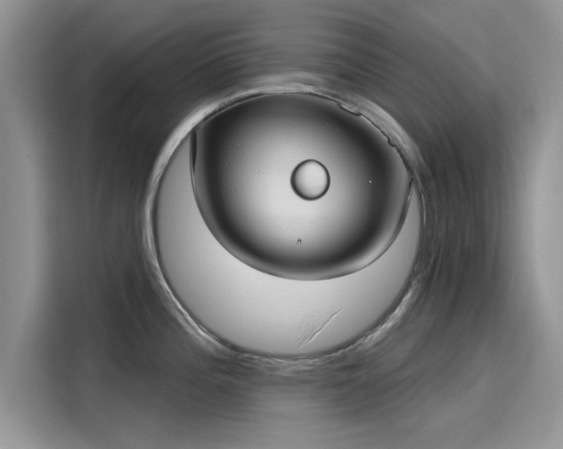 X0000116111196200911301117