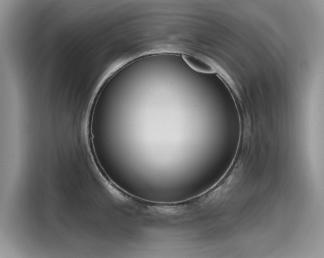 X0000116111197200911301116