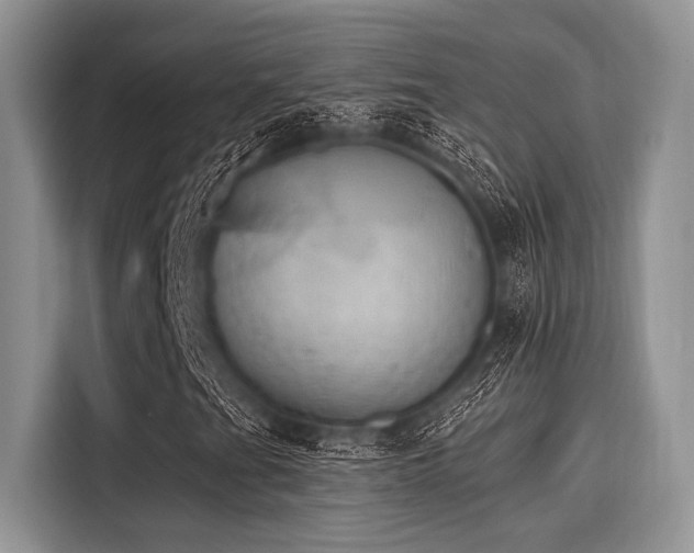 X0000116111201200911301116