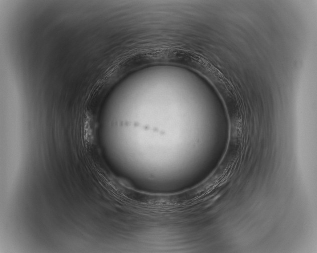 X0000116111202200911301116