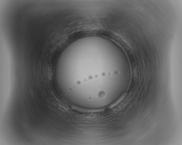 X0000116111204200911301116