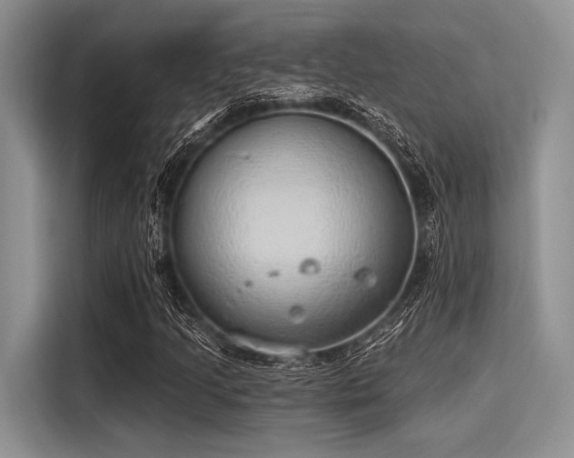 X0000116111205200911301116