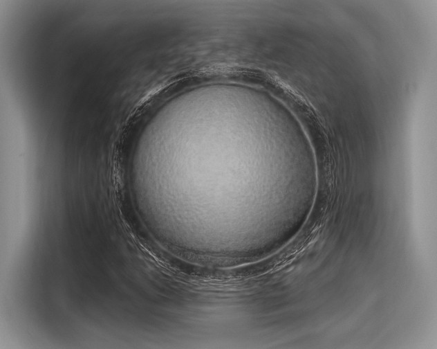 X0000116111206200911301116