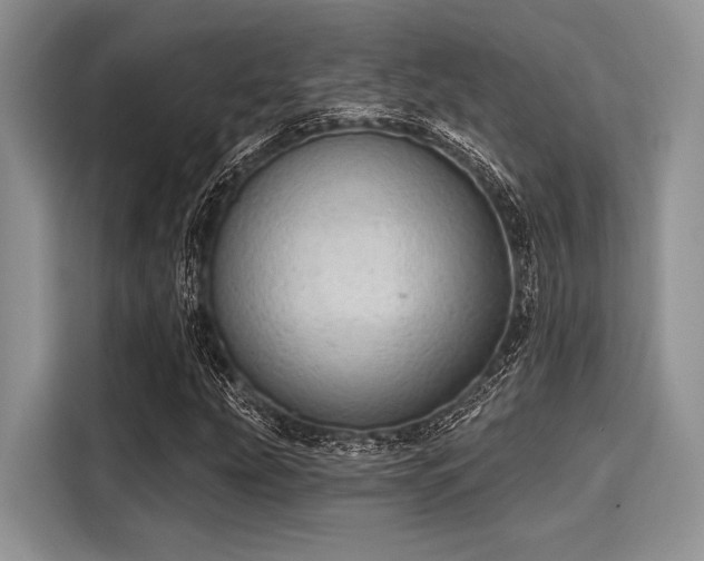 X0000116111207200911301116