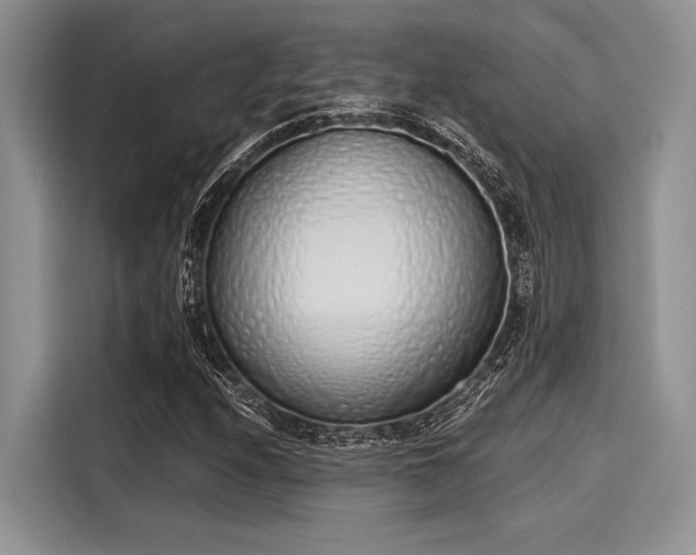 X0000116111208200911301116