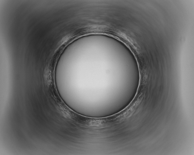 X0000116111211200911301116