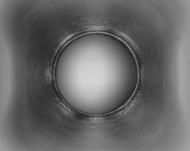 X0000116111212200911301116