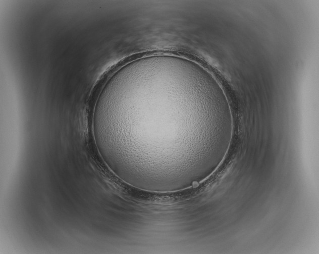 X0000116111214200911301116