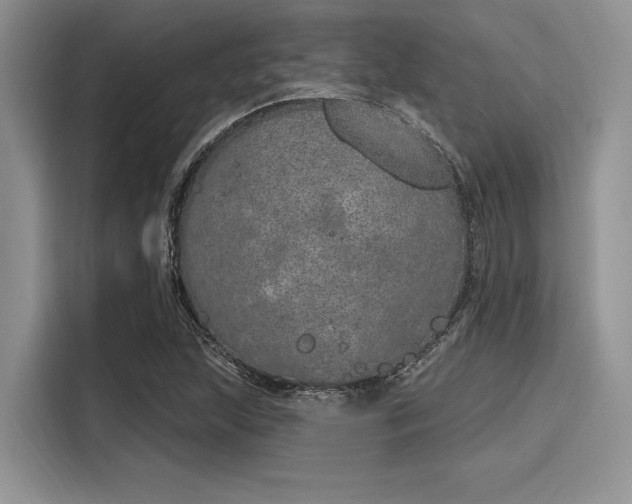 X0000116111215200911301116