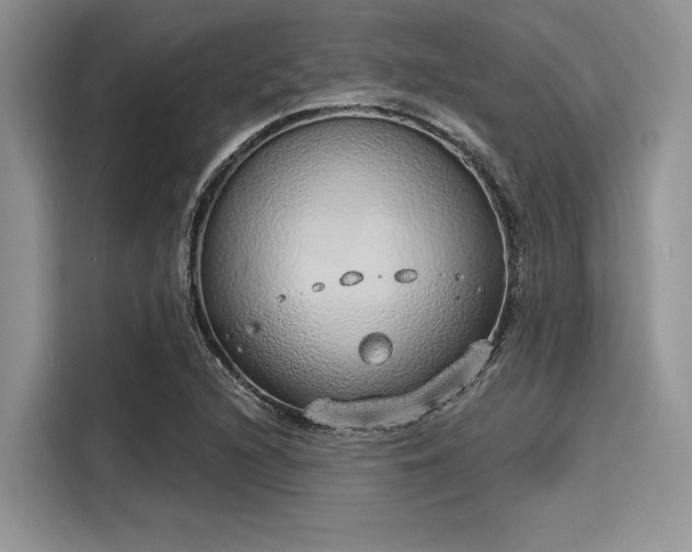 X0000116111216200911301116