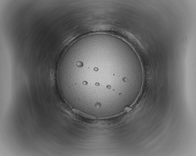 X0000116111217200911301116