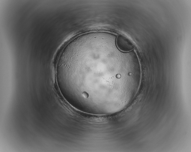 X0000116111219200911301116