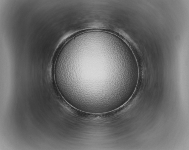 X0000116111222200911301116