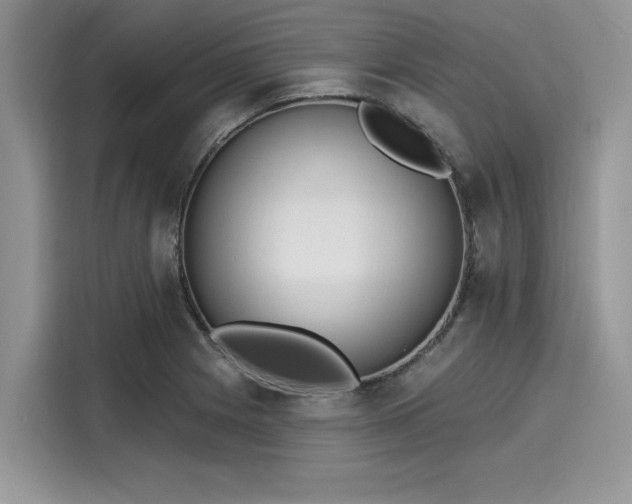 X0000116111225200911301116