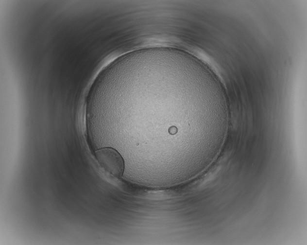 X0000116111227200911301116