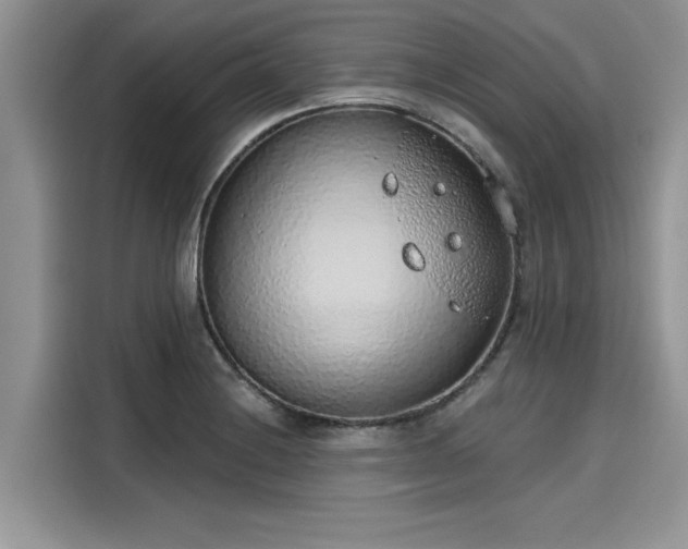 X0000116111228200911301116