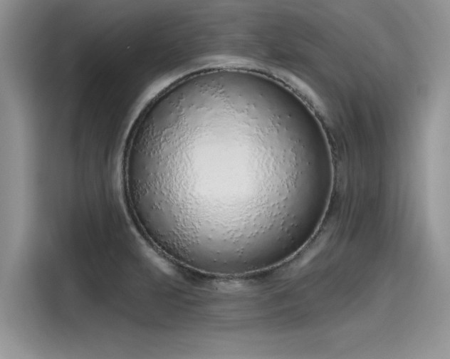 X0000116111231200911301116