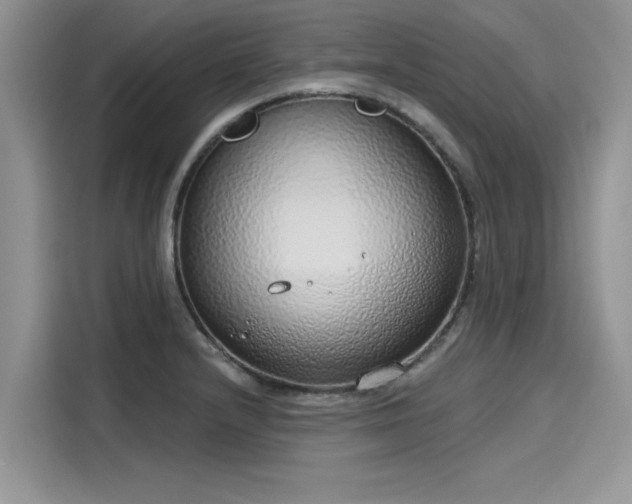 X0000116111232200911301116