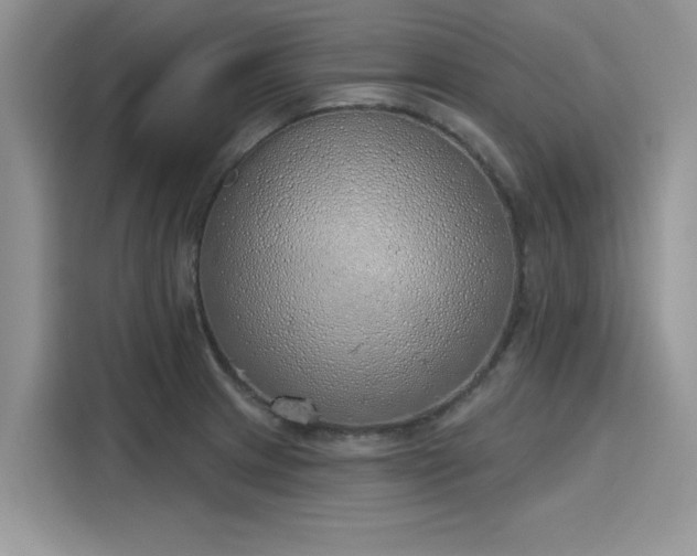 X0000116111233200911301116