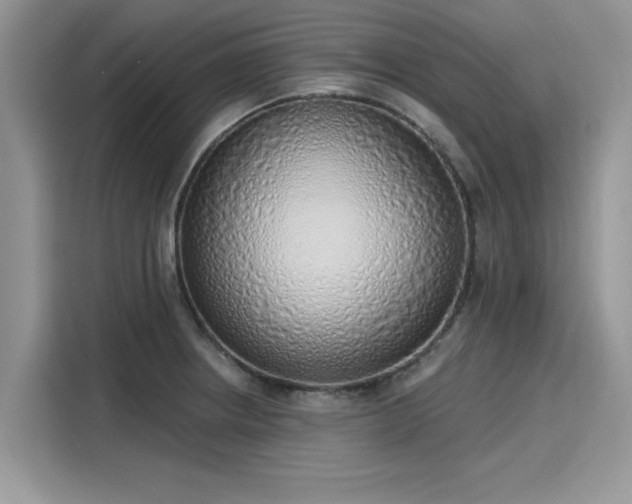 X0000116111234200911301116