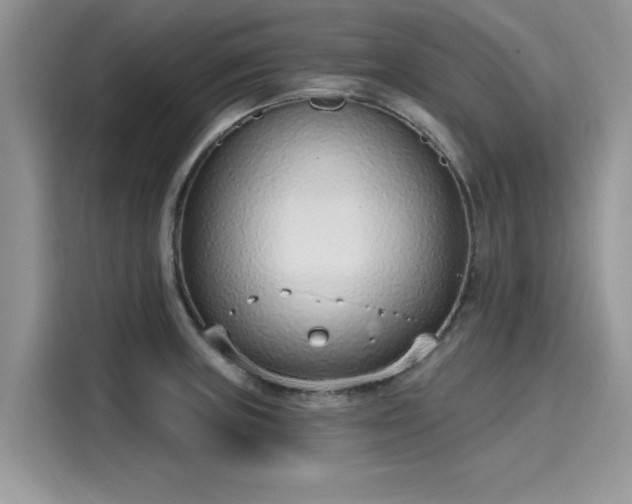 X0000116111235200911301116