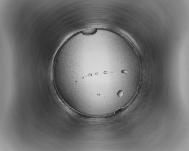 X0000116111236200911301116