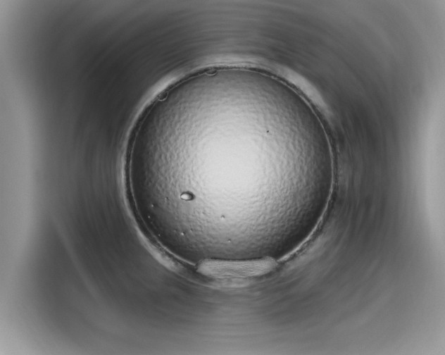 X0000116111237200911301116