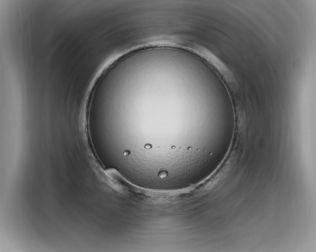 X0000116111240200911301116