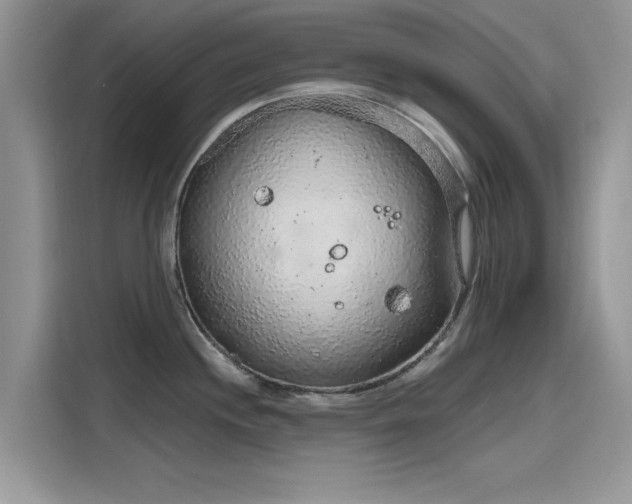 X0000116111244200911301116