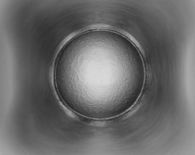 X0000116111245200911301116