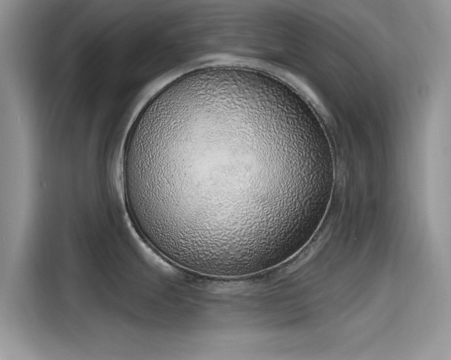 X0000116111247200911301116