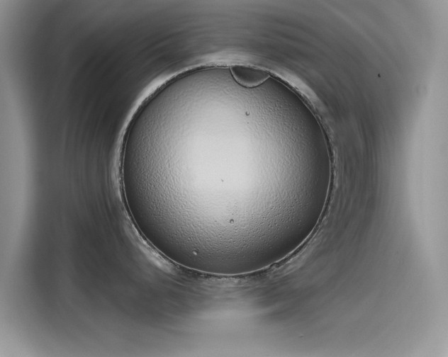 X0000116111248200911301116