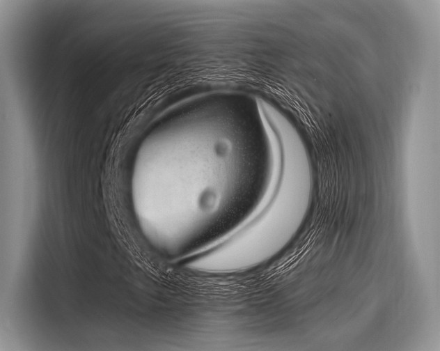 X0000116111249200911301116