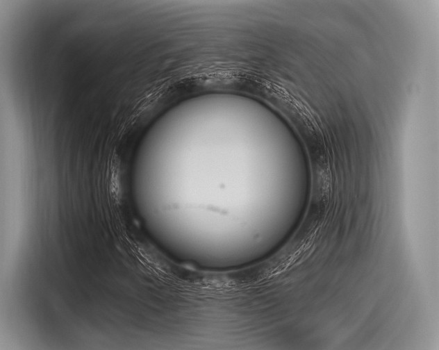 X0000116111250200911301116