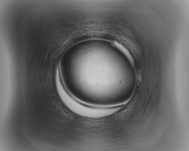 X0000116111252200911301116