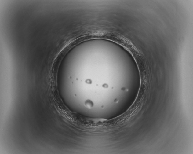 X0000116111256200911301116