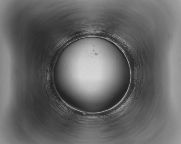 X0000116111257200911301116