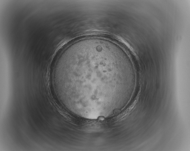 X0000116111259200911301116