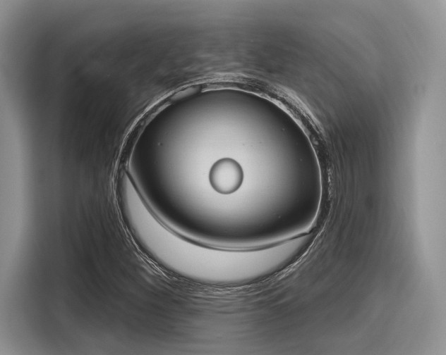 X0000116111260200911301116