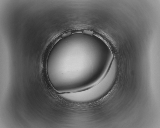 X0000116111261200911301116