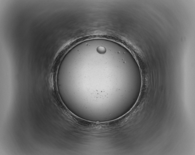 X0000116111262200911301116