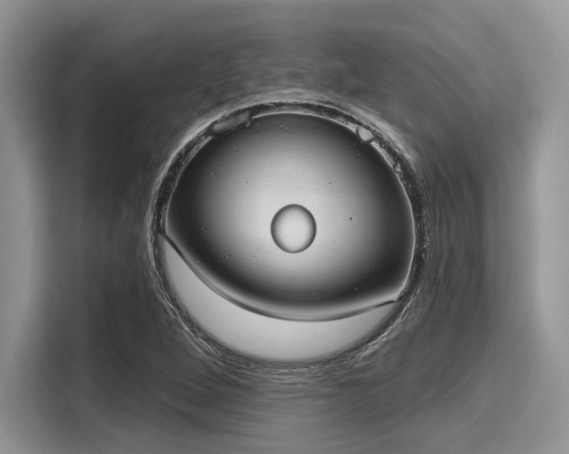 X0000116111264200911301116