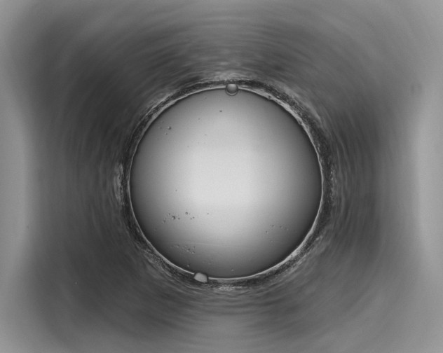 X0000116111265200911301116