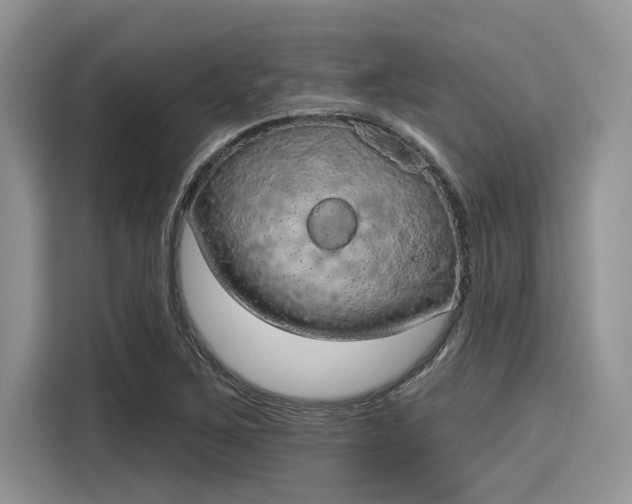 X0000116111267200911301116