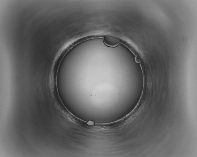 X0000116111270200911301116