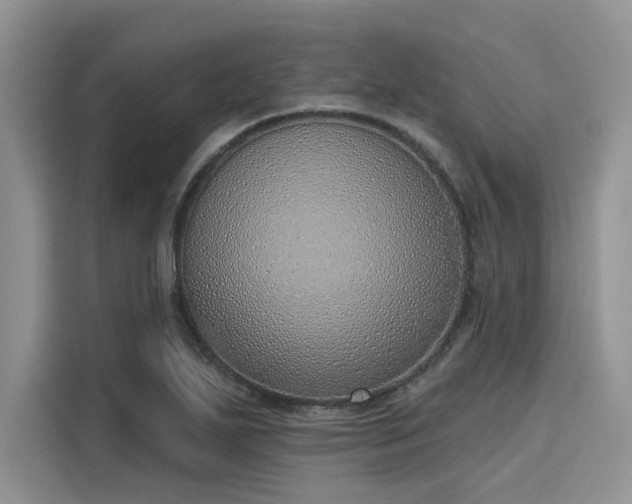 X0000116111271200911301116