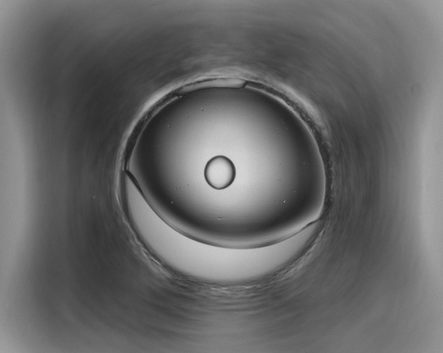 X0000116111272200911301116