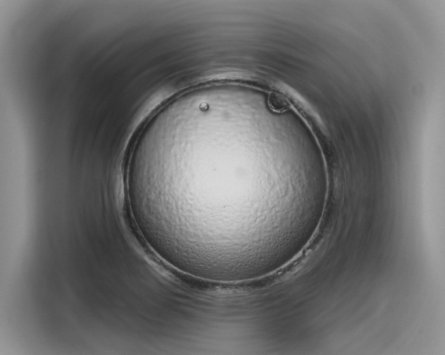 X0000116111274200911301115