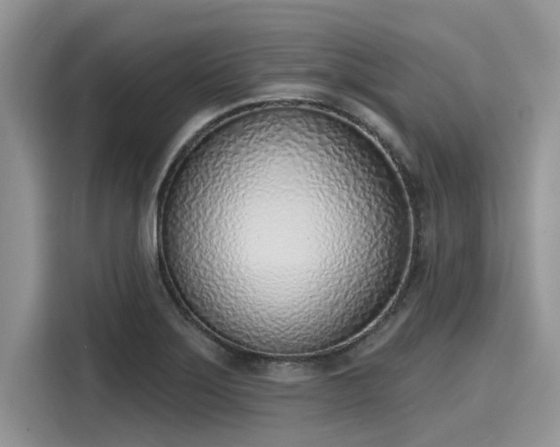 X0000116111275200911301115