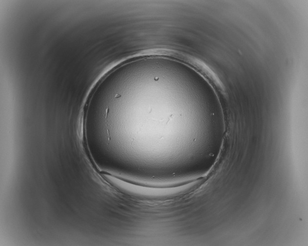 X0000116111276200911301115